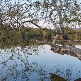 Cseke-tó, Tata - Egyéb