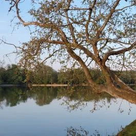 Cseke-tó, Tata - Egyéb