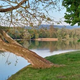 Cseke-tó, Tata - Egyéb