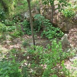 Cserépvár romjai, Cserépváralja - Külső kép