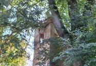 Cserfekvési templom Hosszúvíz