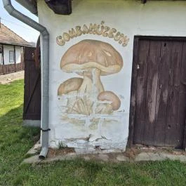 Cserje gombamúzeum Terény - Külső kép