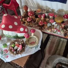Cserje gombamúzeum Terény - Belső