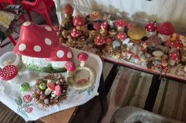 Cserje gombamúzeum Terény