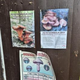 Cserje gombamúzeum Terény - Külső kép