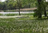 Csetényi Élménypark Kiskunhalas