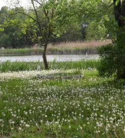 Csetényi Élménypark