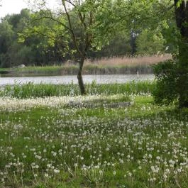 Csetényi Élménypark Kiskunhalas - Külső kép