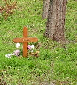 Csévharaszti pusztatemplom