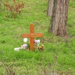 Csévharaszti pusztatemplom Csévharaszt - Egyéb