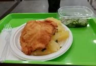 Csibefaló - Auchan Aquincum Budapest