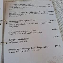 Csicsó Étterem Hőgyész - Étlap/itallap