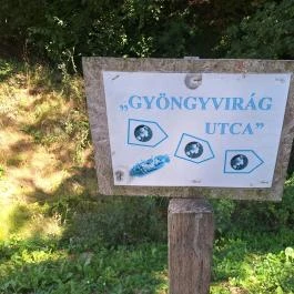 Csicsói kápolna és Szentkút Hőgyész - Egyéb