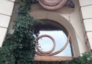 Csiga Café Budapest