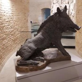 Csillagerőd Komárom - Egyéb