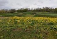 Csillagerőd Komárom