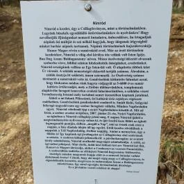 Csillagösvény faszobrok Pilisszántó - Egyéb