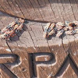 Csillagösvény faszobrok Pilisszántó - Egyéb