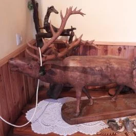 Csipkefaragások kiállítása Nagybörzsöny - Egyéb