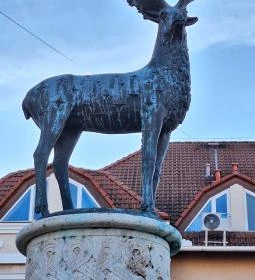 15. legjobb látnivaló: Csodaszarvas