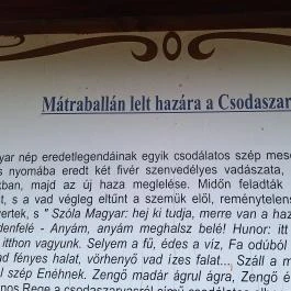 Csodaszarvas Mátraballa - Egyéb