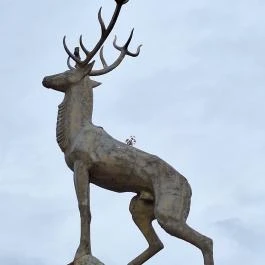 Csodaszarvas Mátraballa - Egyéb