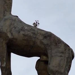 Csodaszarvas Mátraballa - Egyéb