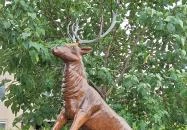 Csodaszarvas Domoszló