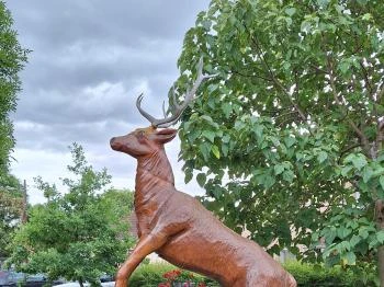 Csodaszarvas Domoszló