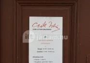 Csók István Emlékmúzeum Cece