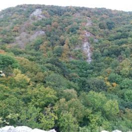 Csókakő vára, Csókakő - Egyéb