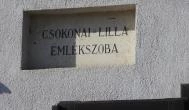 Csokonai Lilla Emlékszoba Dunaalmás - Egyéb