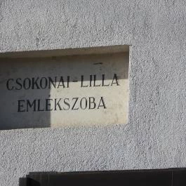 Csokonai Lilla Emlékszoba, Dunaalmás - Egyéb