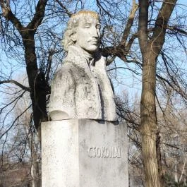 Csokonai Vitéz Mihály, Dunaalmás - Egyéb