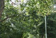 Vésztő-Mágor Történelmi Emlékhely Vésztő Vésztő-Mágor Történelmi Emlékhely Vésztő