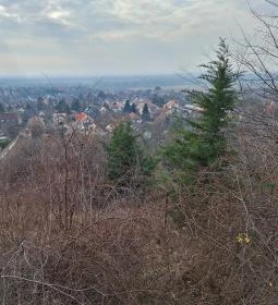 Csömöri Kitekintő