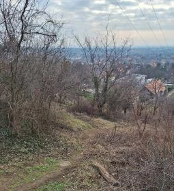 Csömöri Kitekintő