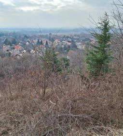 Csömöri Kitekintő