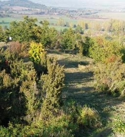 Csönge-hegyi Kilátó