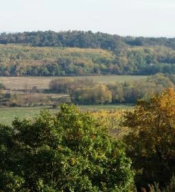 Csönge-hegyi Kilátó