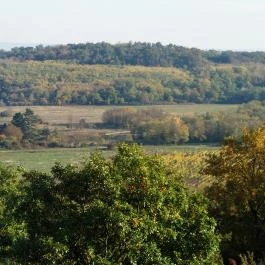 Csönge-hegyi Kilátó Salföld - Egyéb
