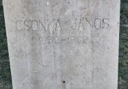 Csonka János mellszobra Budapest