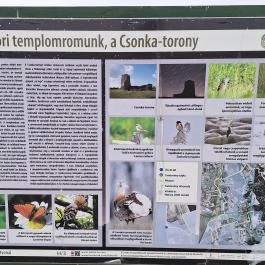 Csonka-torony, Soltszentimre - Egyéb