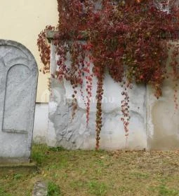 Csörsz utcai izraelita temető