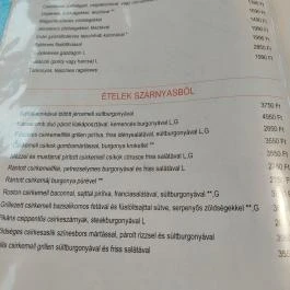 Csücsök Csárda Étterem és Pizzéria Békésszentandrás - Étlap/itallap