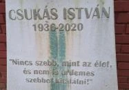 Csukás István mellszobra Balatonszárszó