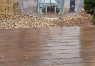 Cukorborsó Kertvendéglő Páty