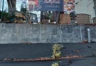 Curry House Indiai Étterem Budapest