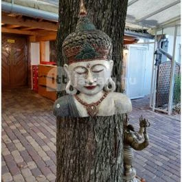 Curry House Indiai Étterem Budapest - Egyéb