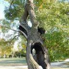 Cziráky-kastély Lovasberény - 